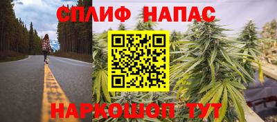 СК Гай