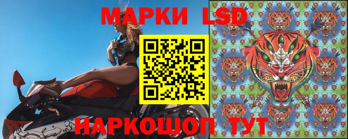 как найти наркотики  Марки NBOMe  Елизово  Вход с VPN  Марки 25I-NBOMe 1500мкг 