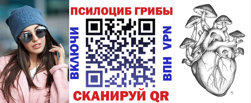 где найти   Елизово  omg ссылки  Галлюциногенные грибы Magic Shrooms 