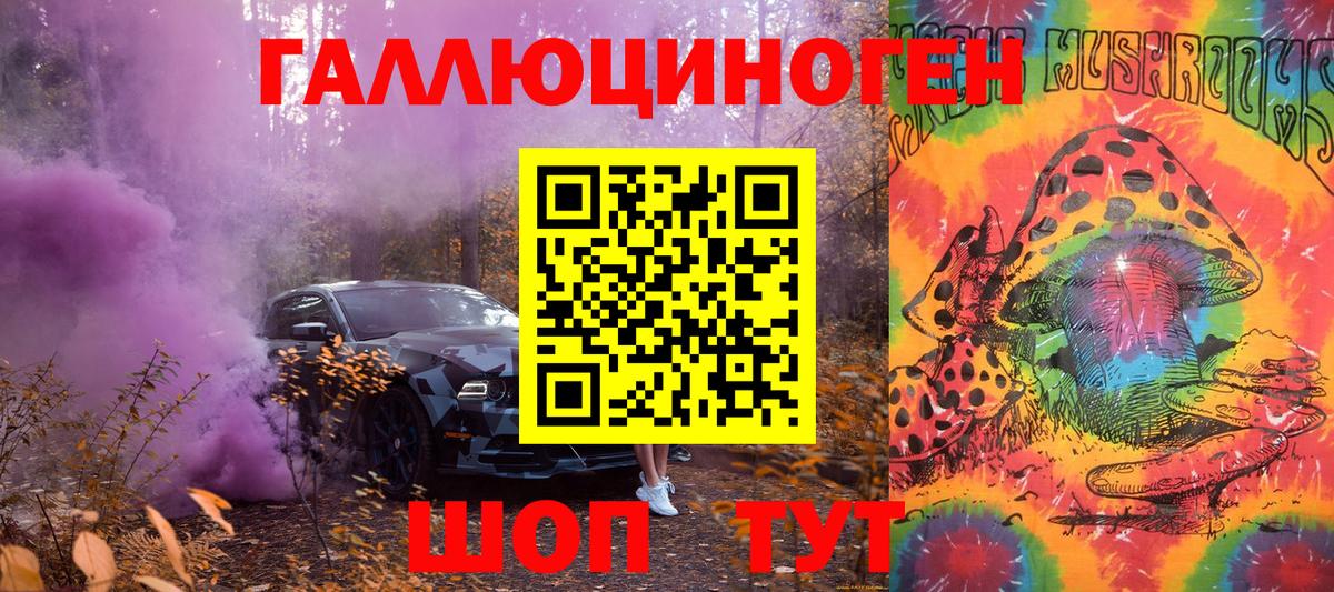 Псилоцибиновые грибы Psilocybine cubensis Елизово