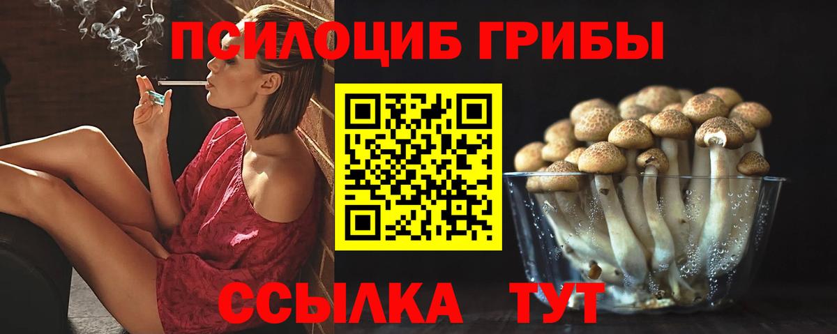 Галлюциногенные грибы MAGIC MUSHROOMS  магазин продажи наркотиков  Елизово  Вход с VPN 