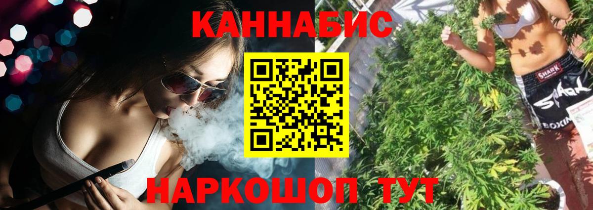 Конопля Bruce Banner  МАРИХУАНА ГИДРОПОН  Шишки марихуана VHQ  Елизово  Вход с VPN 